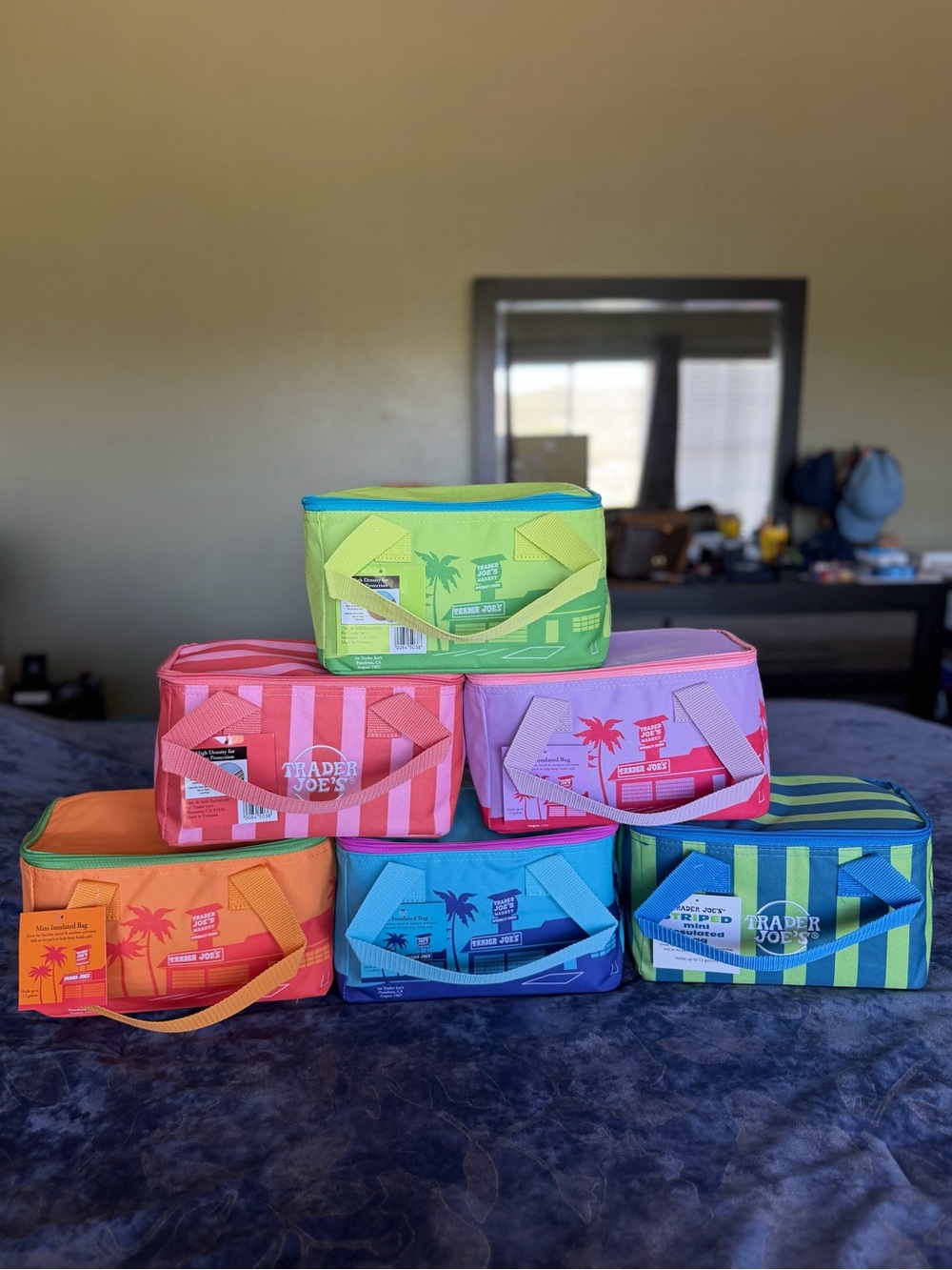 All 6 Trader Joe's Colorful Striped Insulated Lunch Bags - Assorted Colors